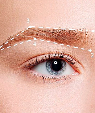 Diseño de Cejas